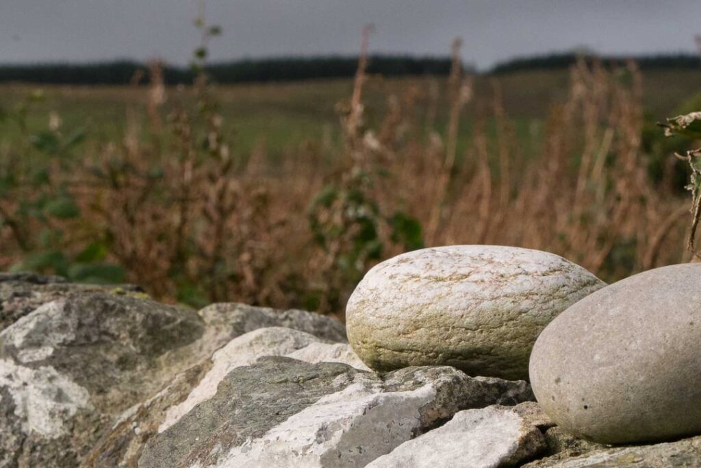 Port Charlotte Holidays Self Catering Islay