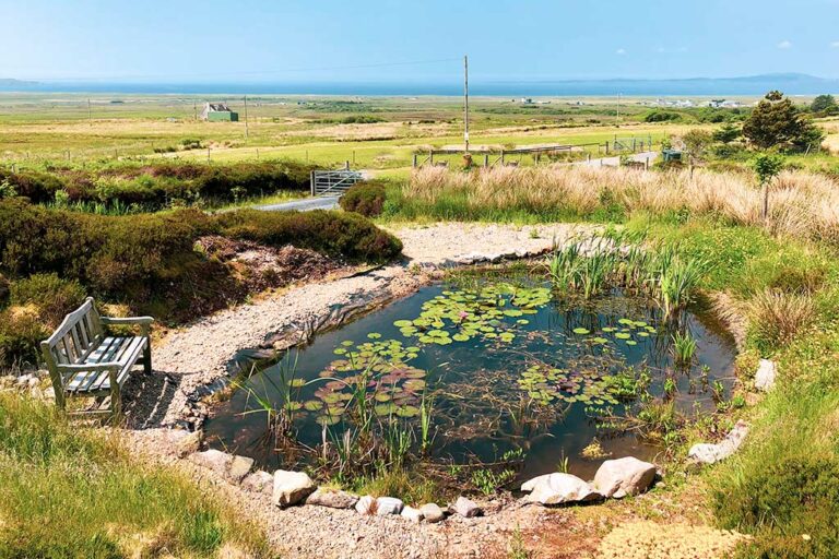 Rowan Cottage Self-Catering Islay Rowan Cottage Self-Catering Islay