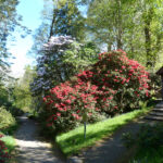 Gardens Near Oban