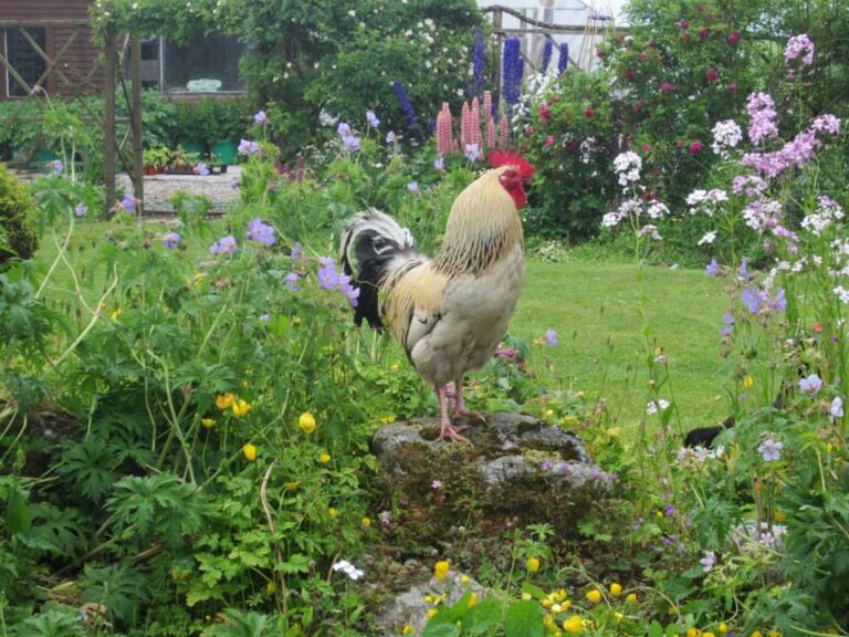 Loch Gruinart House Self-Catering Islay Loch Gruinart House Self-Catering Islay