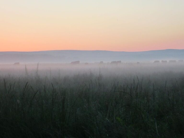 Loch Gruinart House Self-Catering Islay Loch Gruinart House Self-Catering Islay