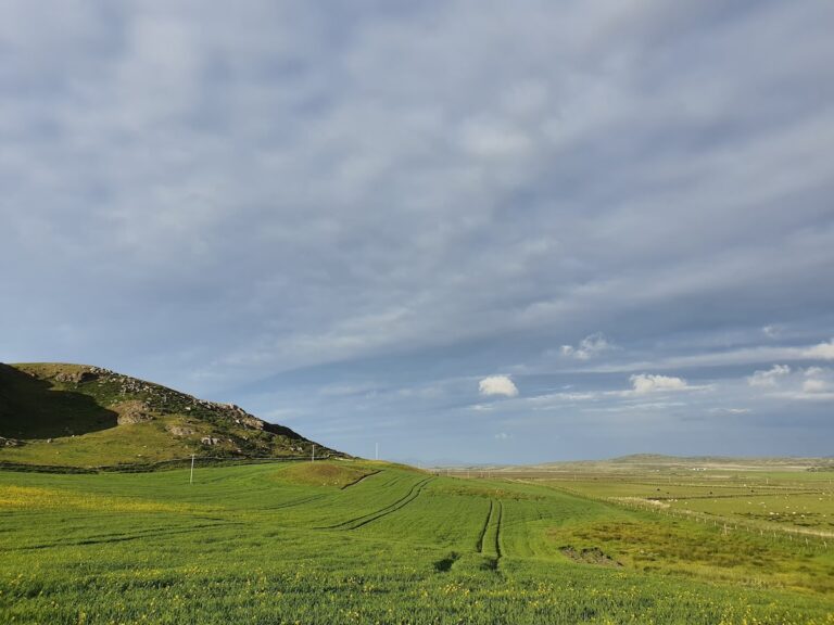 Coull Farm Self-Catering Islay