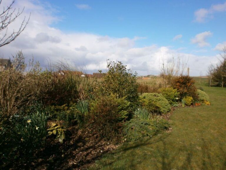 New Breckan Orkney New Breckan Orkney