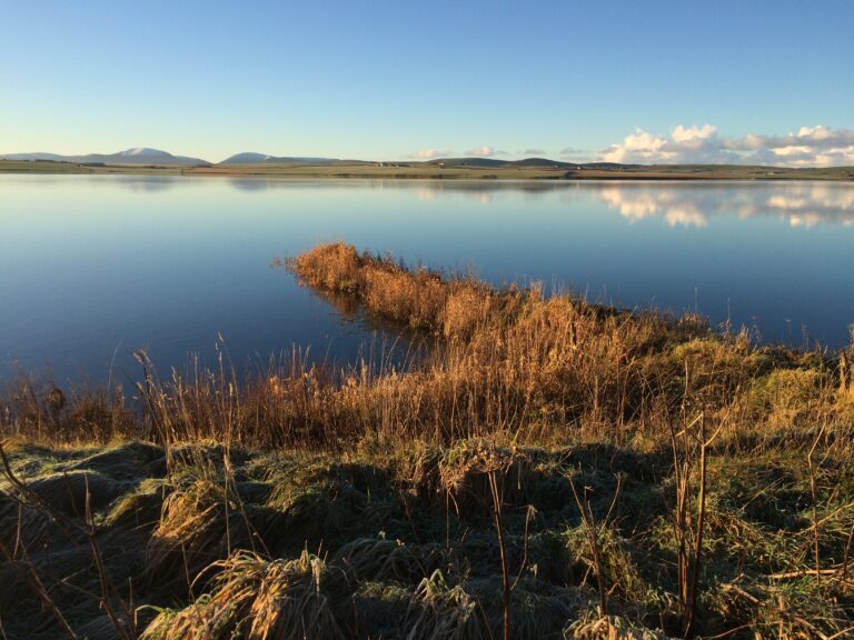 Peedie Harray's Orkney