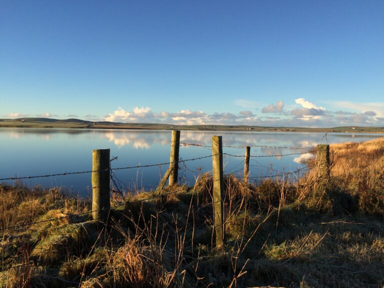 Peedie Harray's Orkney