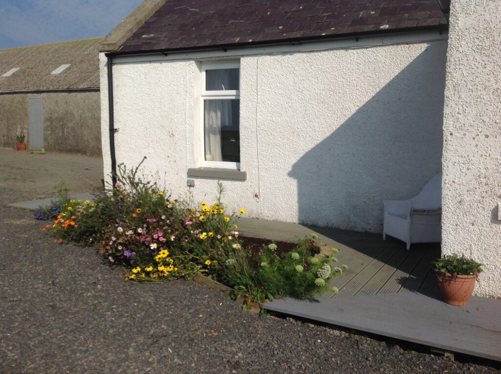 Peedie Harray's Orkney Peedie Harray's Orkney