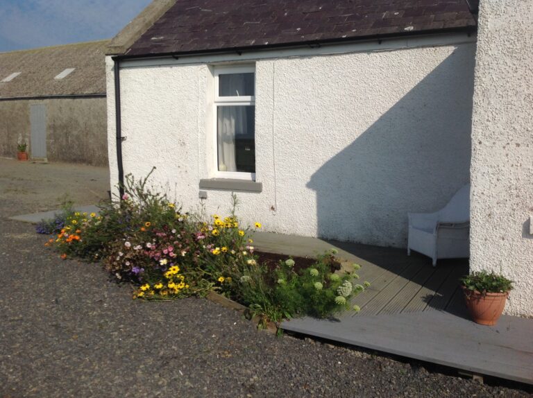 Peedie Harray's Orkney
